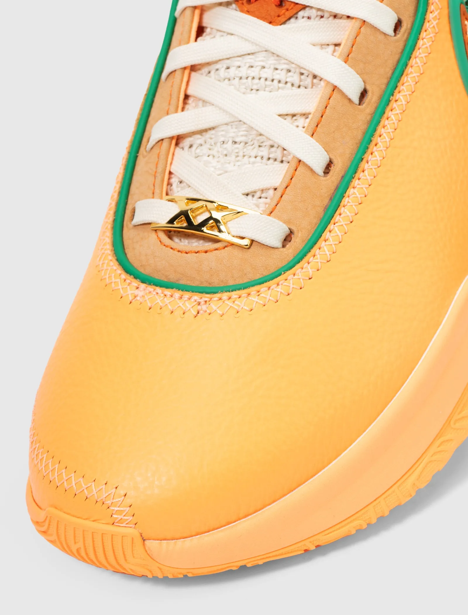 APB x FAMU LEBRON XXs “ORANGE”