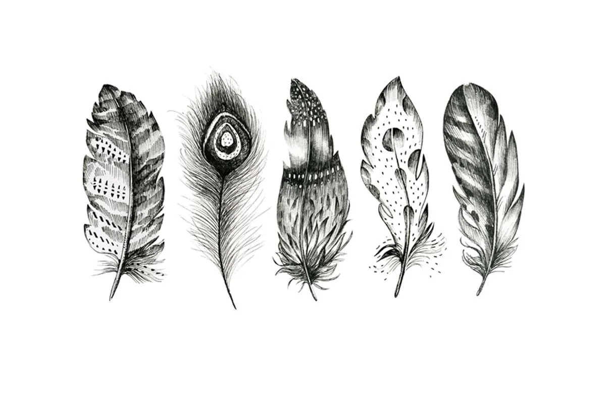 Black & White Feathers | Canvas Wall Art Print