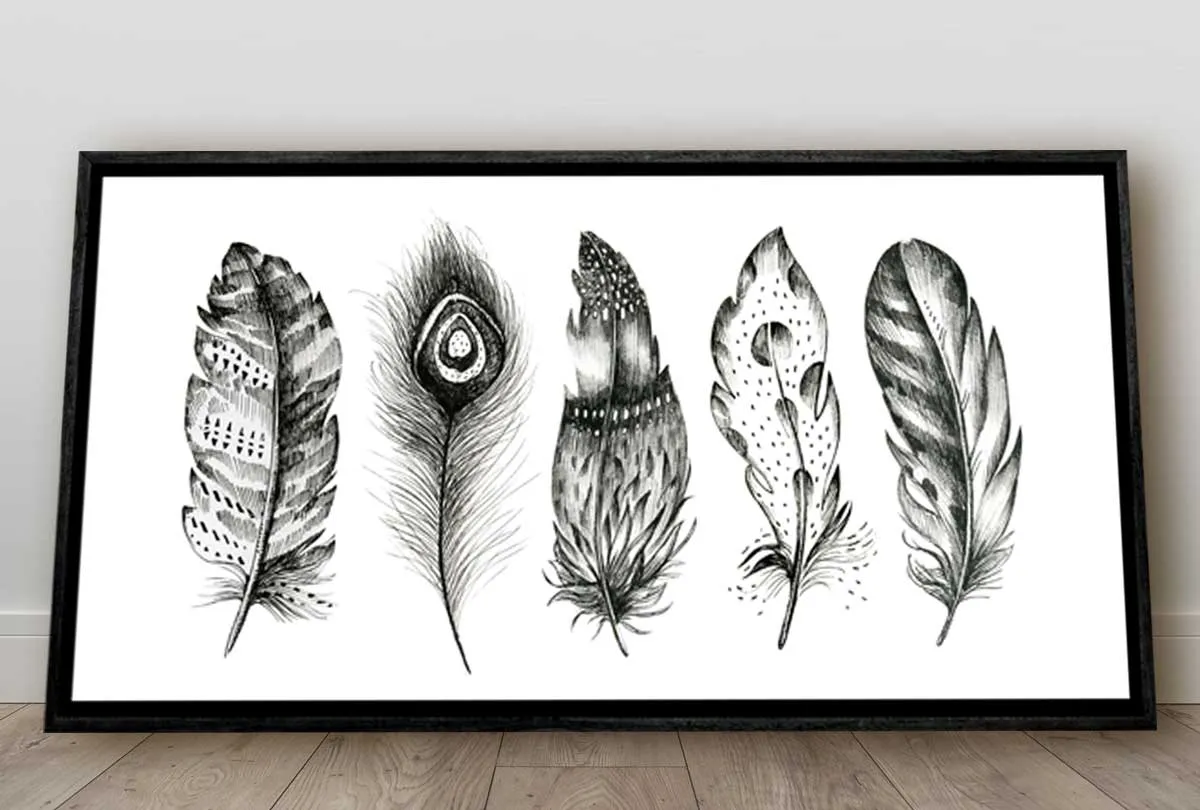 Black & White Feathers | Canvas Wall Art Print