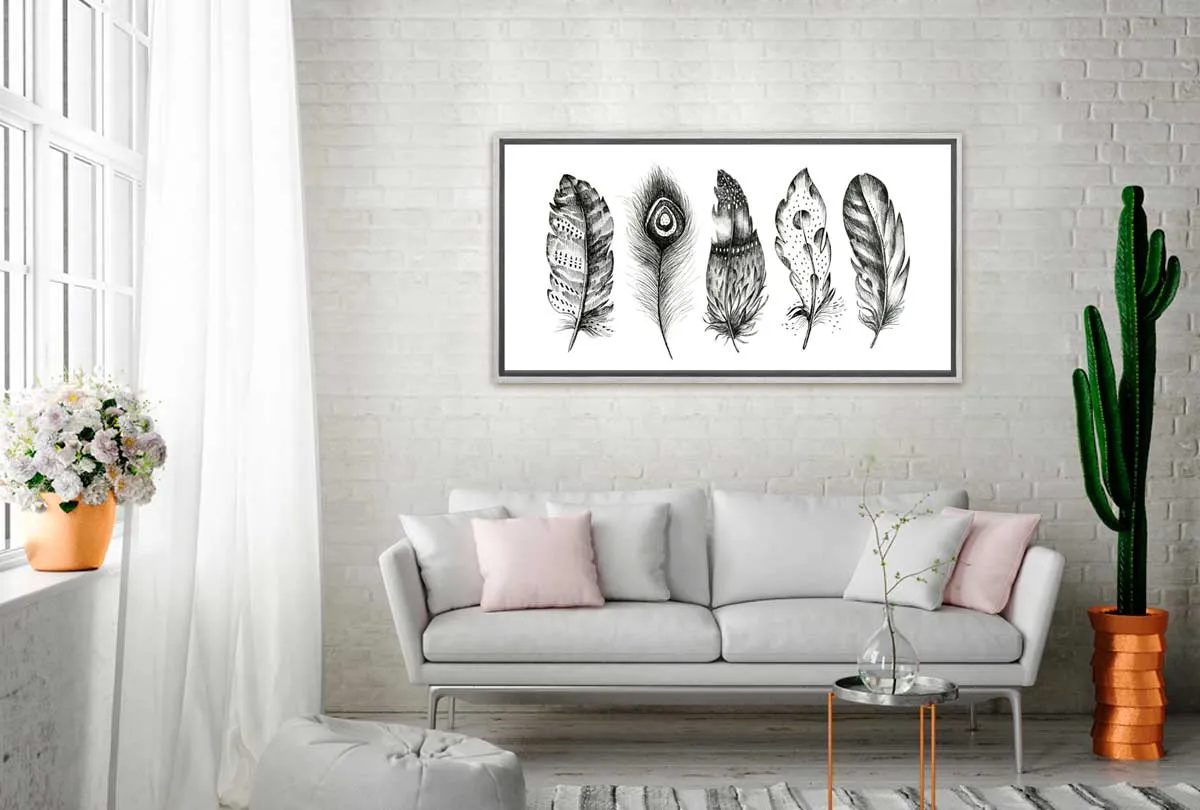 Black & White Feathers | Canvas Wall Art Print