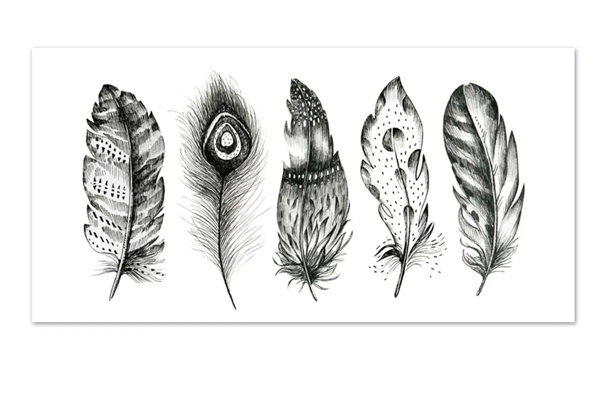 Black & White Feathers | Canvas Wall Art Print