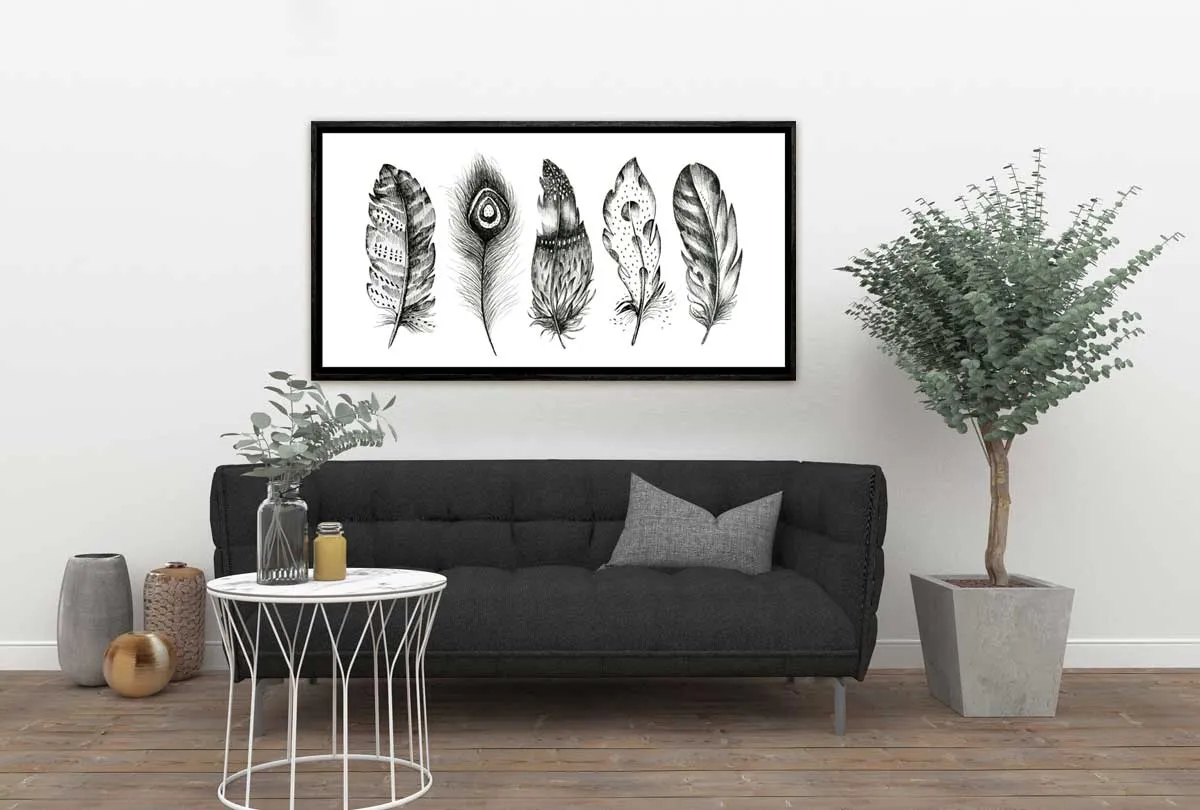 Black & White Feathers | Canvas Wall Art Print