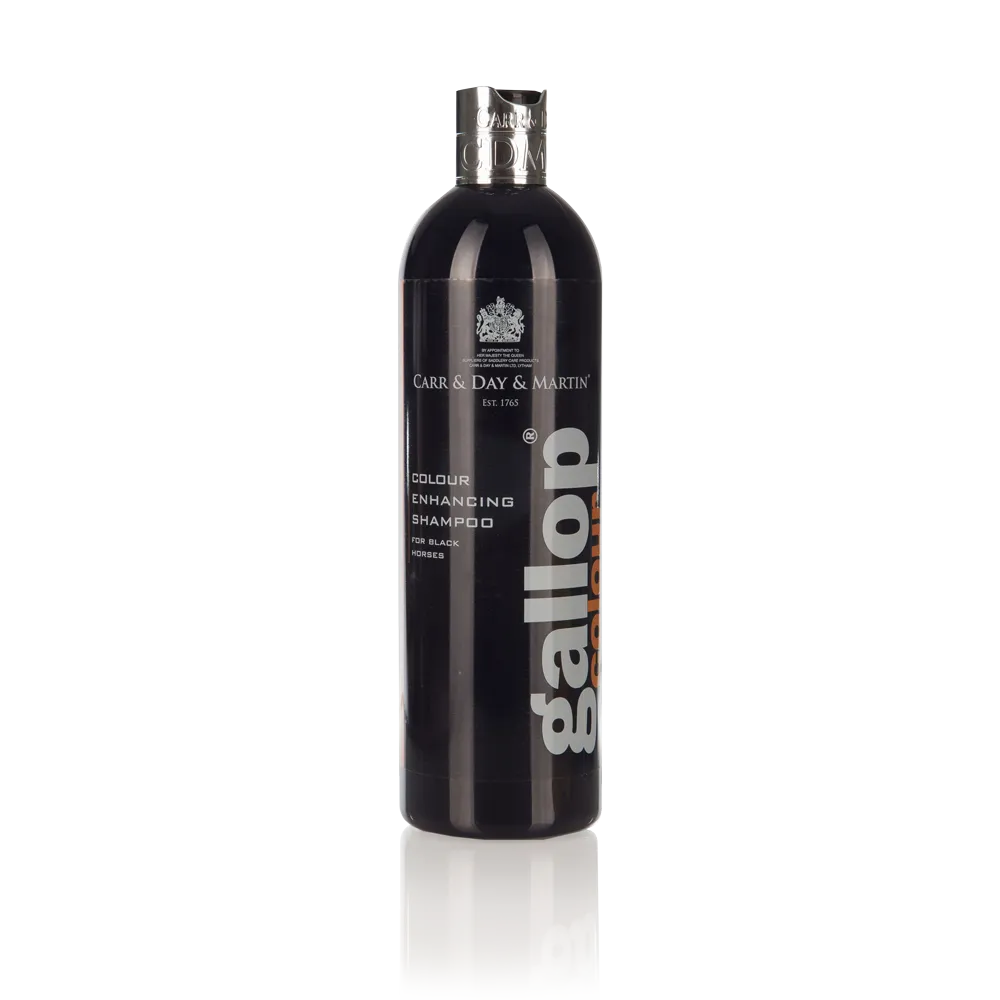 Carr Day and Martin Gallop Colour Enhancing Shampoo for Black