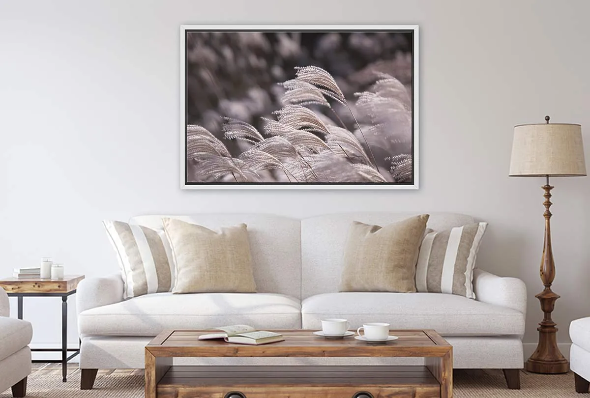 Japanese Pampas Grass | Canvas Wall Art Print