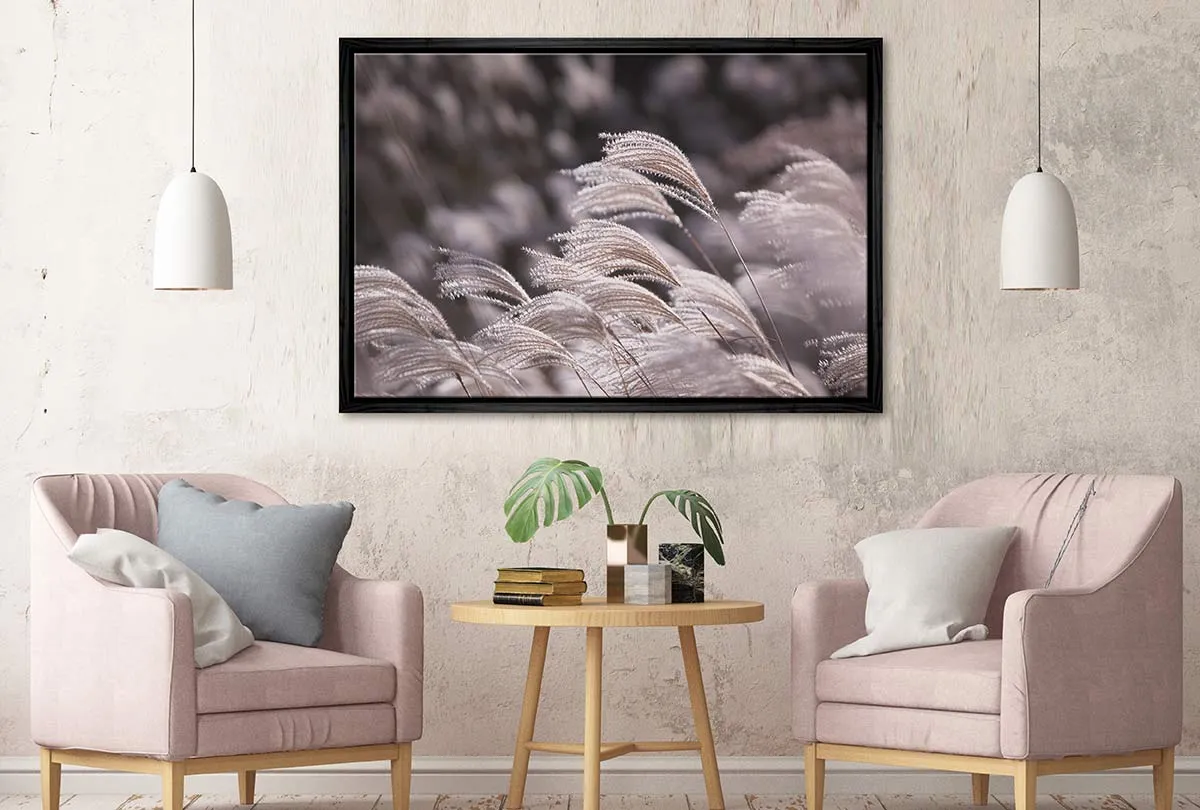 Japanese Pampas Grass | Canvas Wall Art Print