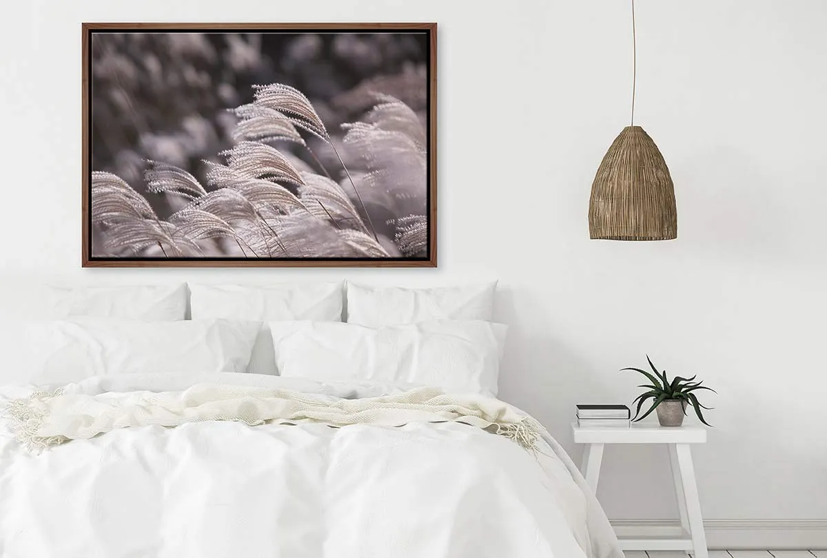 Japanese Pampas Grass | Canvas Wall Art Print