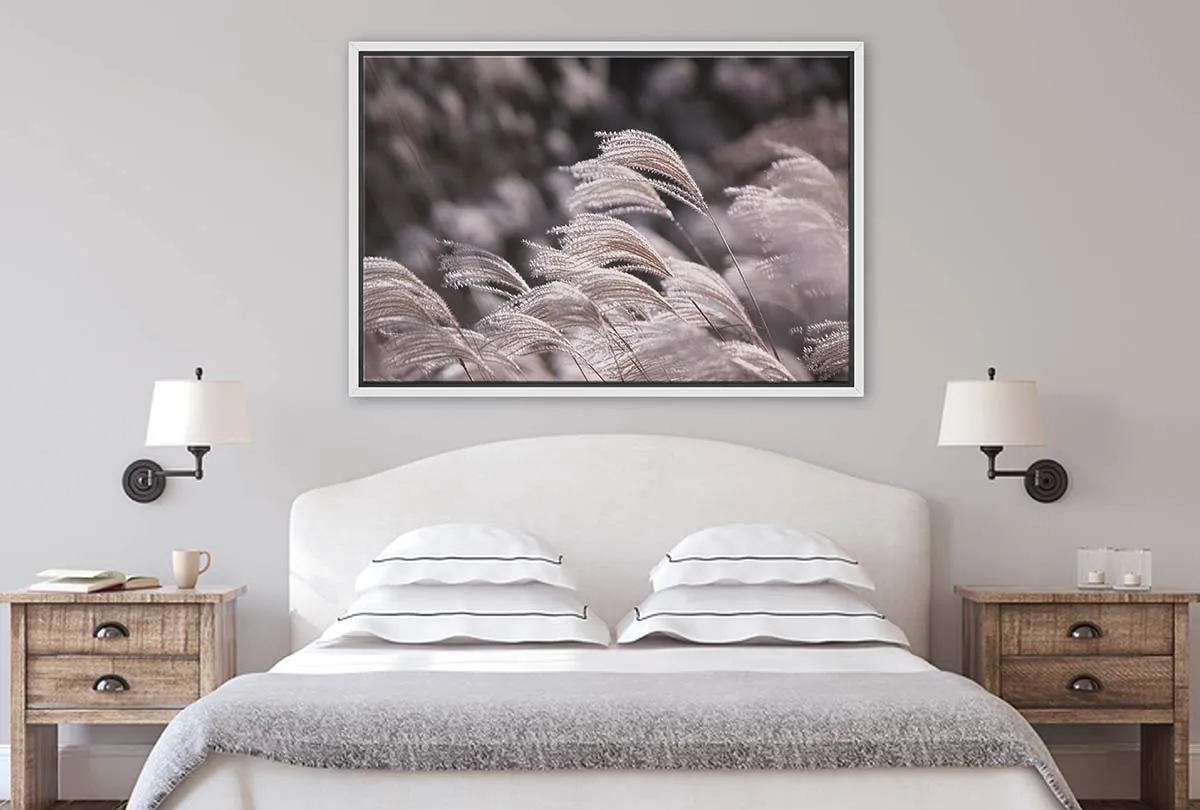 Japanese Pampas Grass | Canvas Wall Art Print