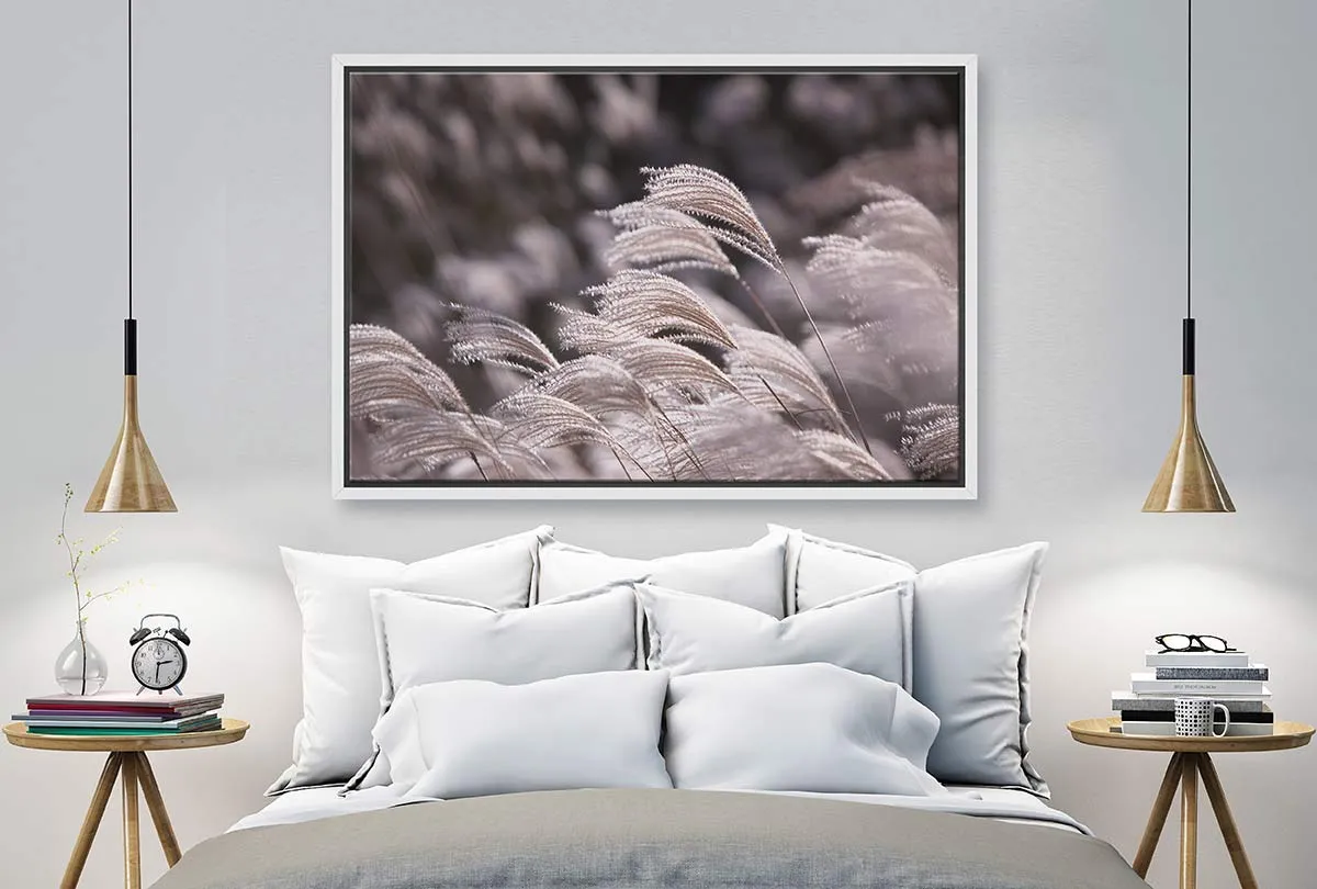 Japanese Pampas Grass | Canvas Wall Art Print