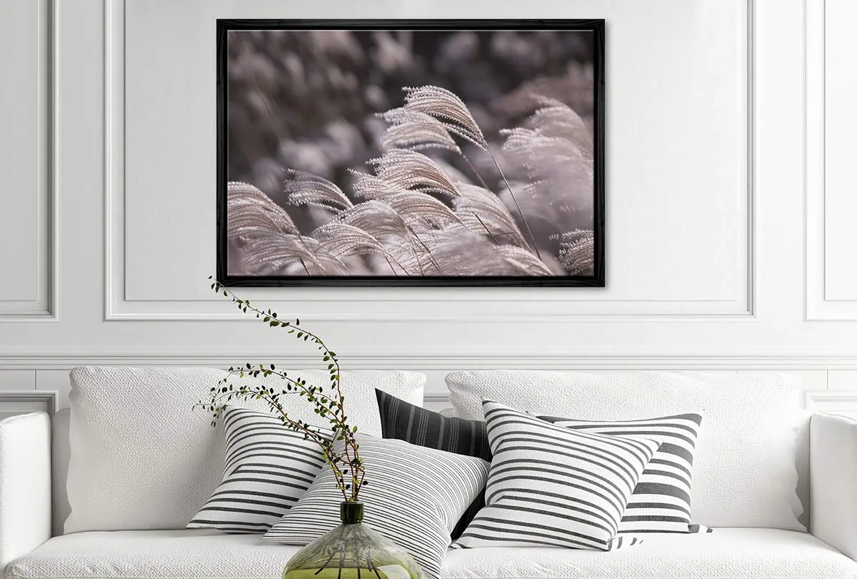 Japanese Pampas Grass | Canvas Wall Art Print