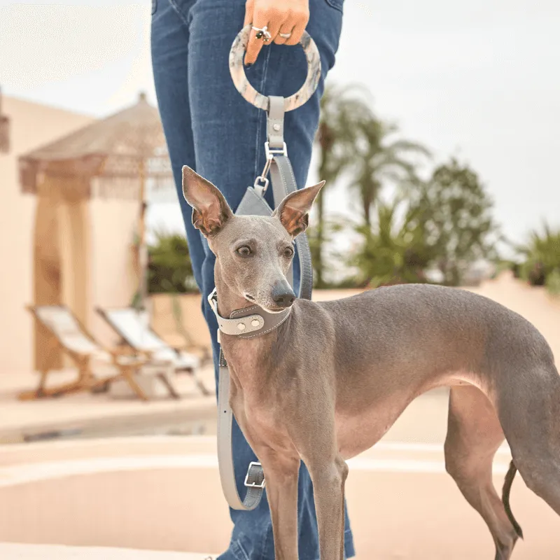 Moonstone Leather Dog Leash