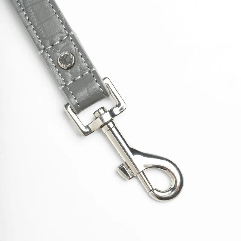 Moonstone Leather Dog Leash